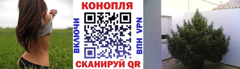 БУТИРАТ Нижнеудинск