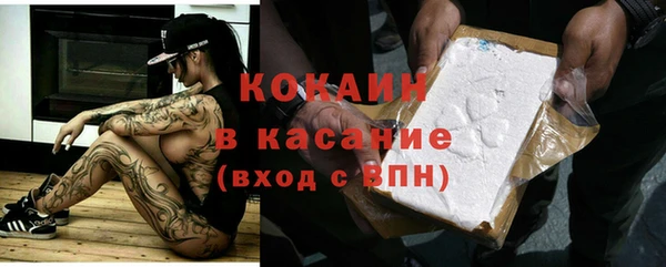 сатива Новокубанск