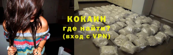 сатива Новокубанск