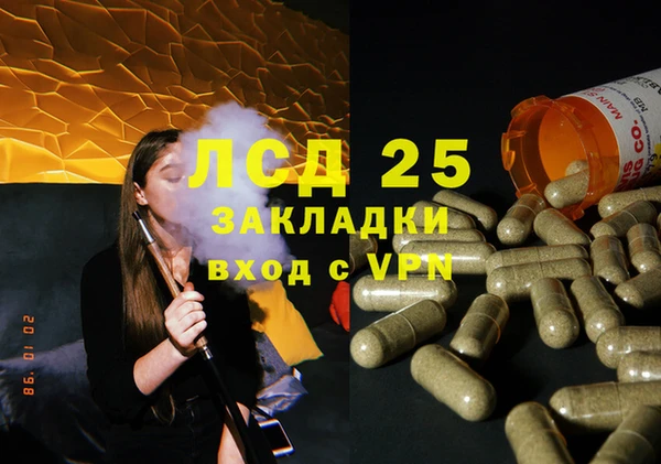 альфа пвп Новодвинск