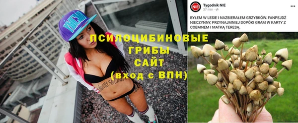 альфа пвп Новодвинск