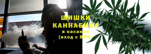 альфа пвп Новодвинск