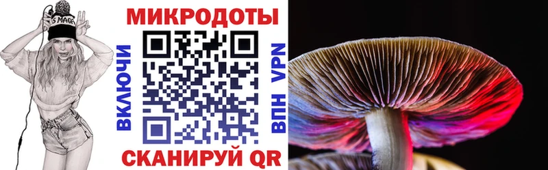 Галлюциногенные грибы Magic Shrooms  shop наркотические препараты  Нижнеудинск 