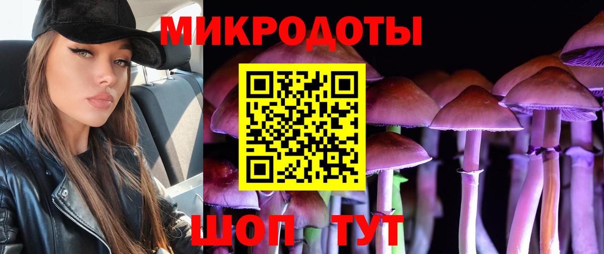 Псилоцибиновые грибы мицелий Нижнеудинск
