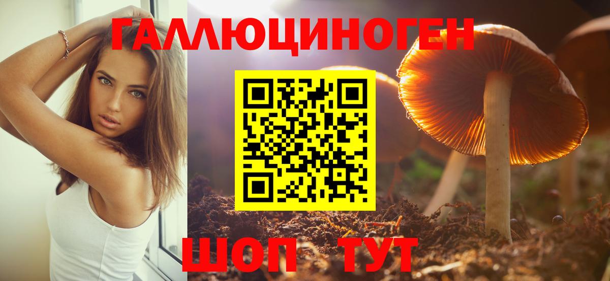 Псилоцибиновые грибы мухоморы  Вход с VPN  Нижнеудинск 